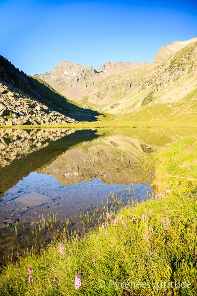 rando-lac-cestrede-hautes-pyrenees-3511