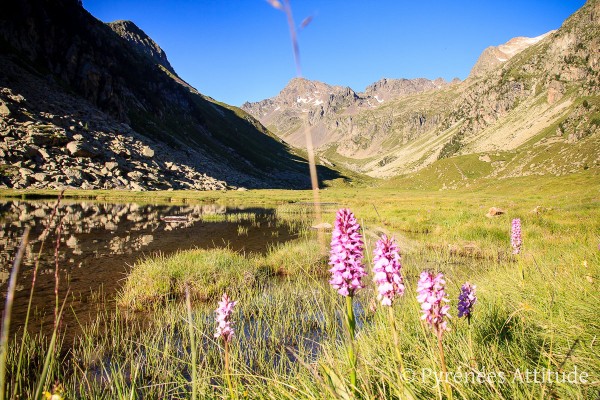 rando-lac-cestrede-hautes-pyrenees-3522