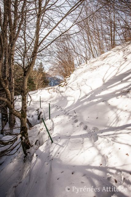 Randonnée vers le cirque de Lis en hiver